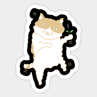 Catnip Madness Dancing Cat Sticker